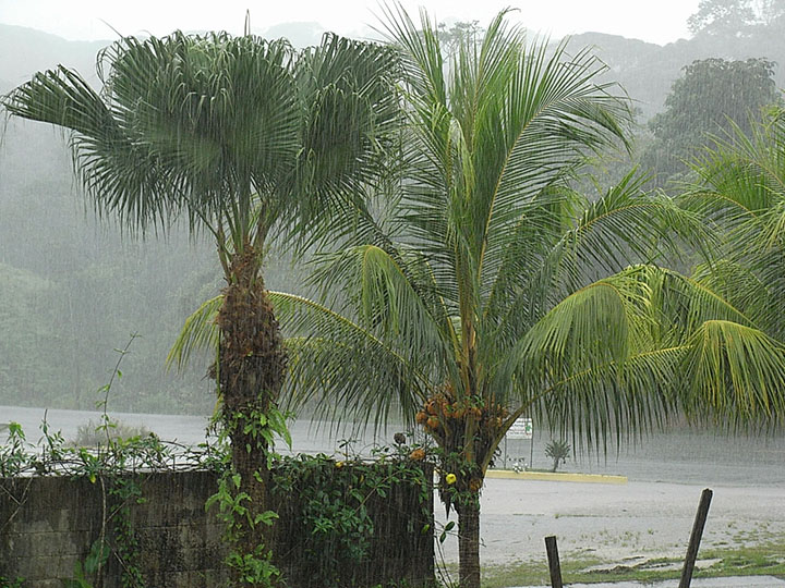 Regenschauer - Costa Rica